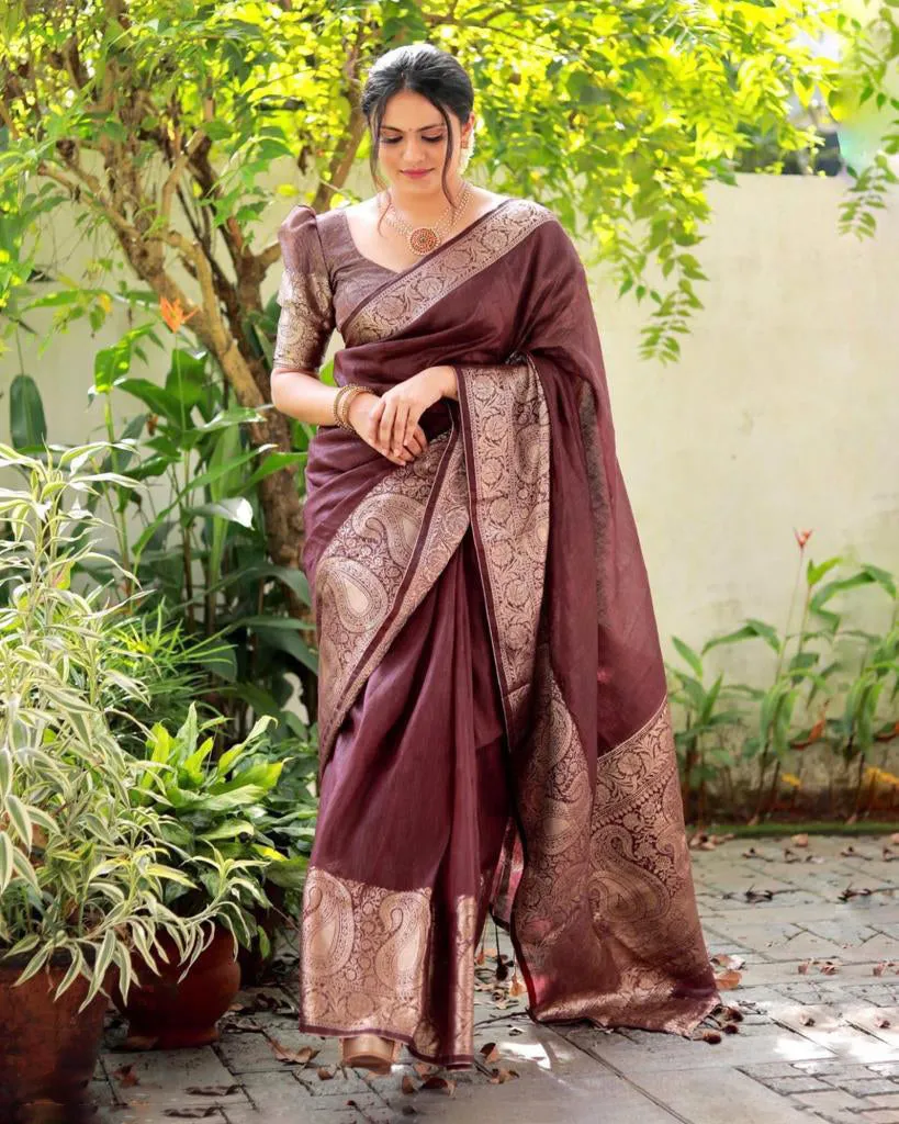 Adorning Brown Soft Silk Saree With Fancifull Blouse Piece