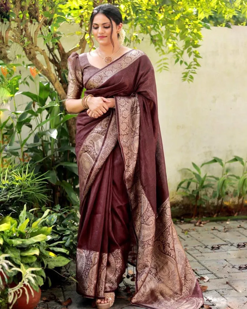 Adorning Brown Soft Silk Saree With Fancifull Blouse Piece