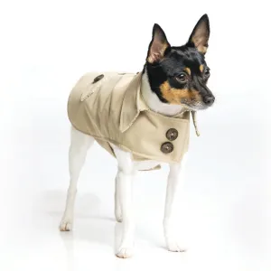 DoggieCoutureNY Classic Trench Coat - Beige