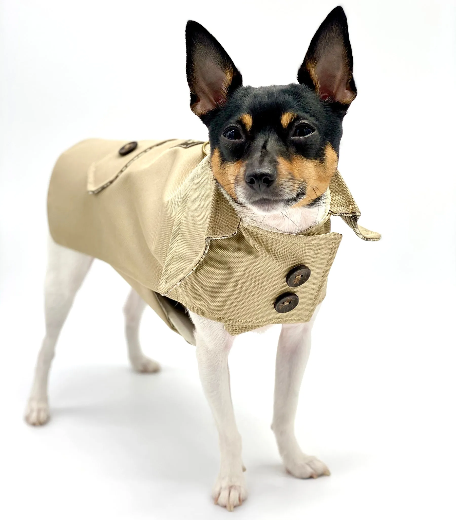 DoggieCoutureNY Classic Trench Coat - Beige