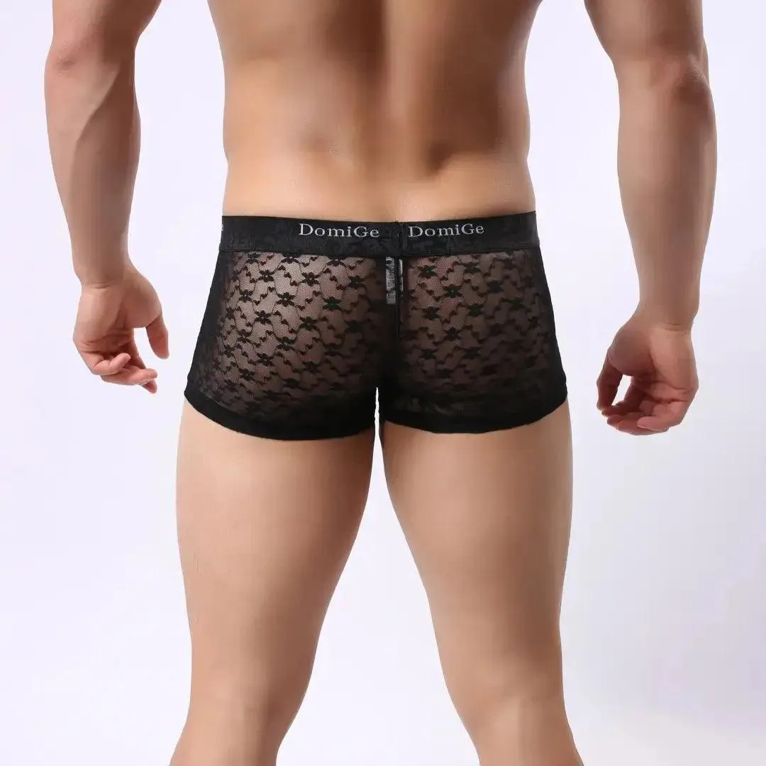 DomiGe Men's Mesh Sheer Boxers Waistband Ultimate Male Underwear