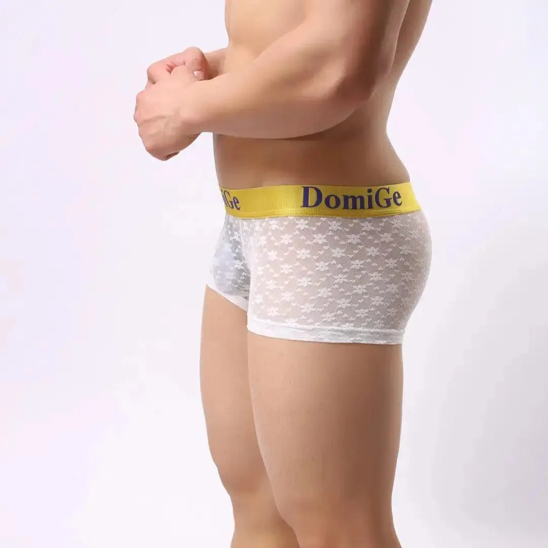 DomiGe Men's Mesh Sheer Boxers Waistband Ultimate Male Underwear