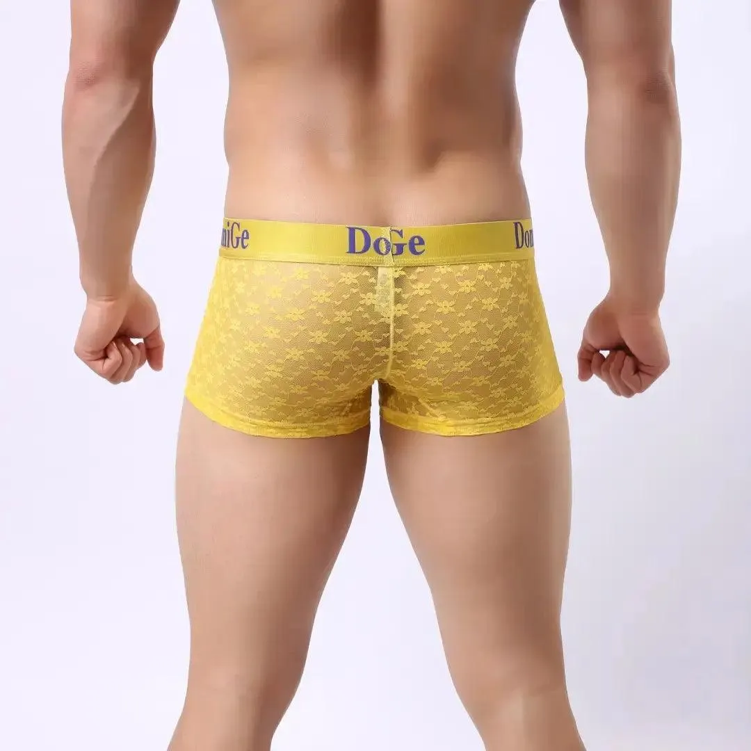 DomiGe Men's Mesh Sheer Boxers Waistband Ultimate Male Underwear