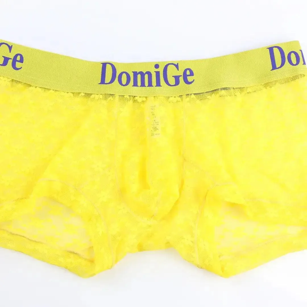 DomiGe Men's Mesh Sheer Boxers Waistband Ultimate Male Underwear