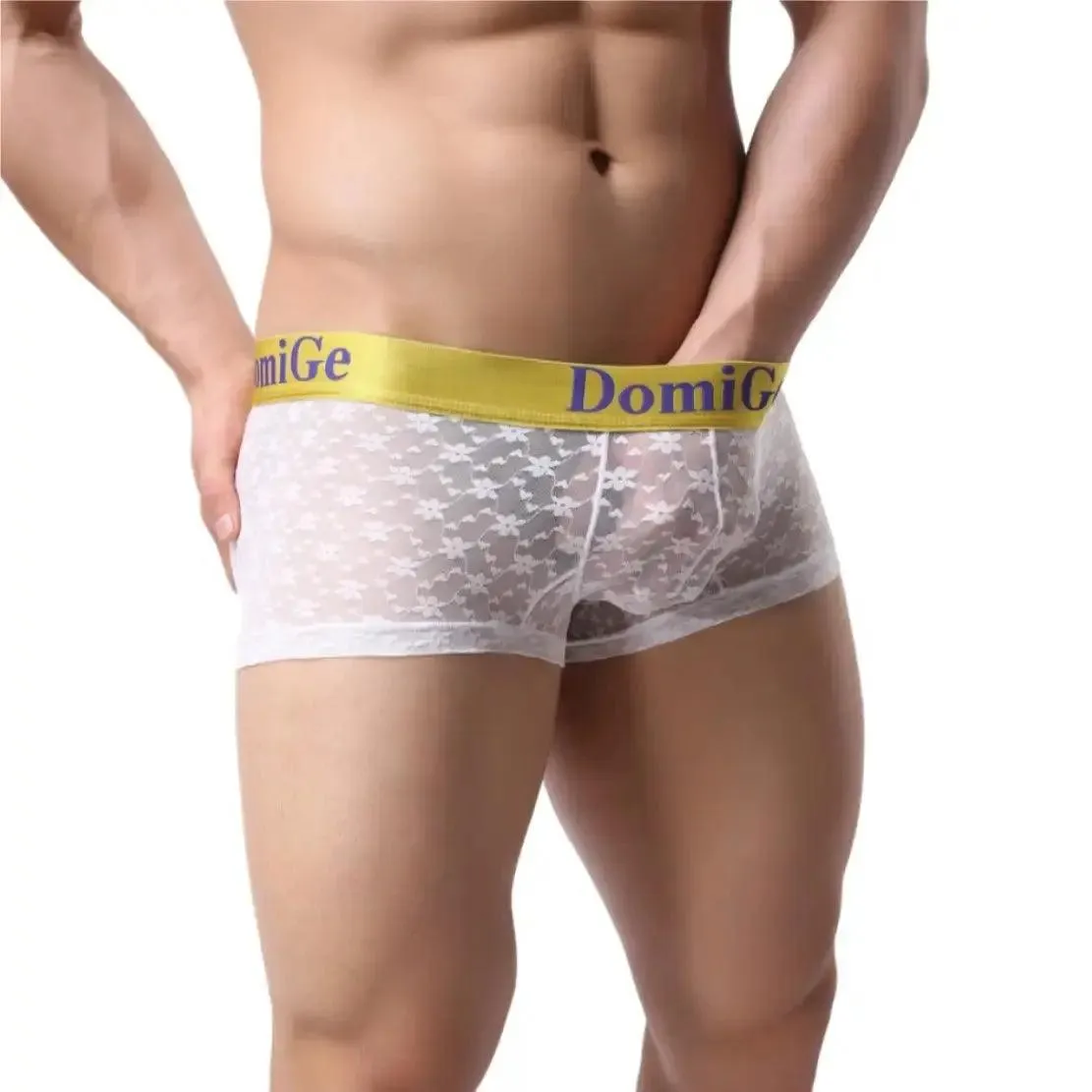 DomiGe Men's Mesh Sheer Boxers Waistband Ultimate Male Underwear