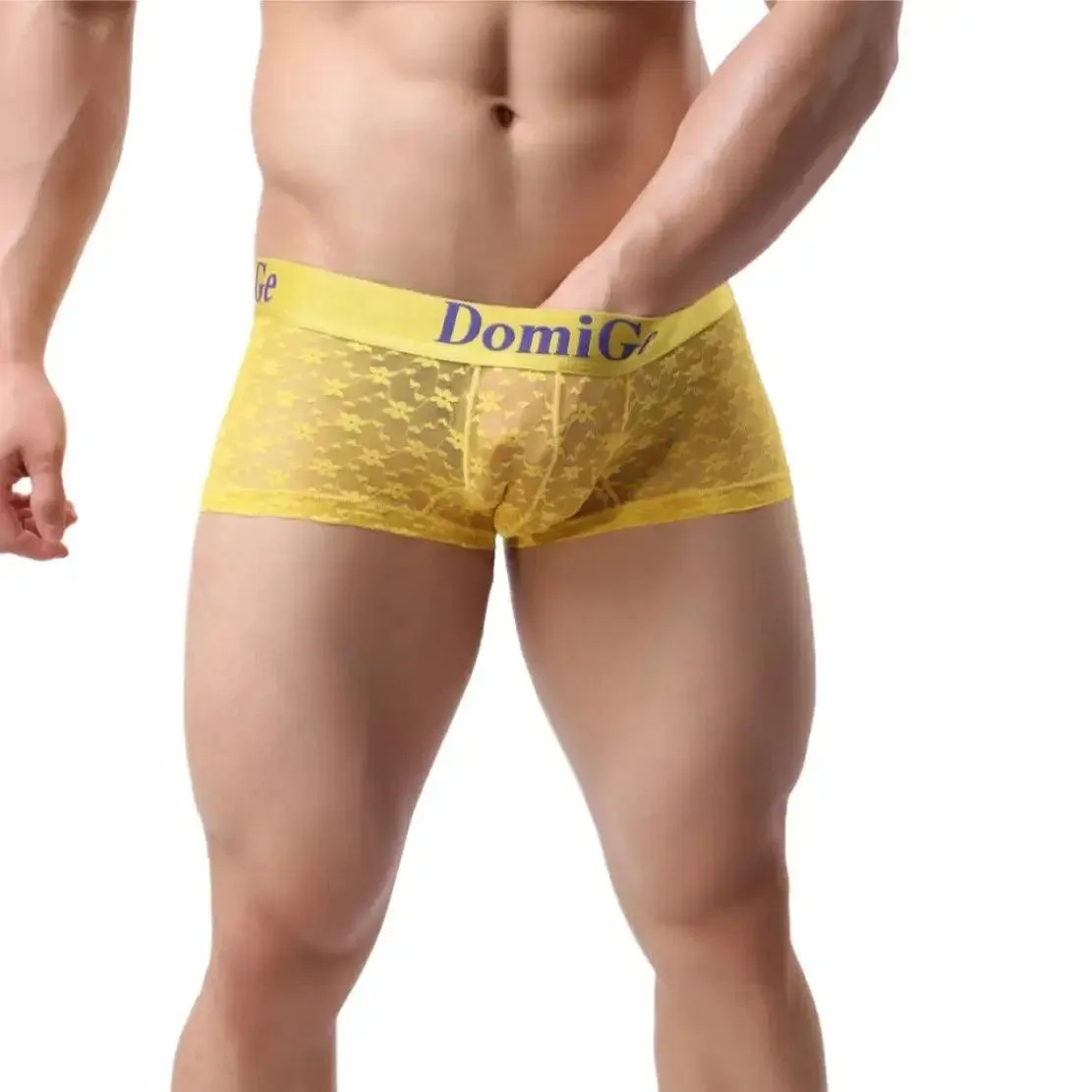 DomiGe Men's Mesh Sheer Boxers Waistband Ultimate Male Underwear