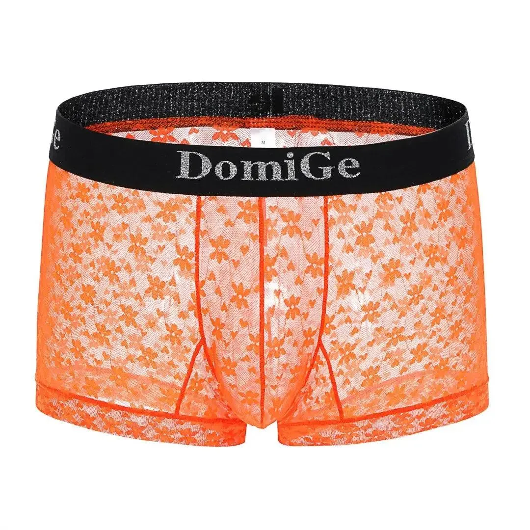 DomiGe Men's Mesh Sheer Boxers Waistband Ultimate Male Underwear