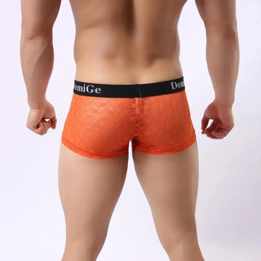 DomiGe Men's Mesh Sheer Boxers Waistband Ultimate Male Underwear