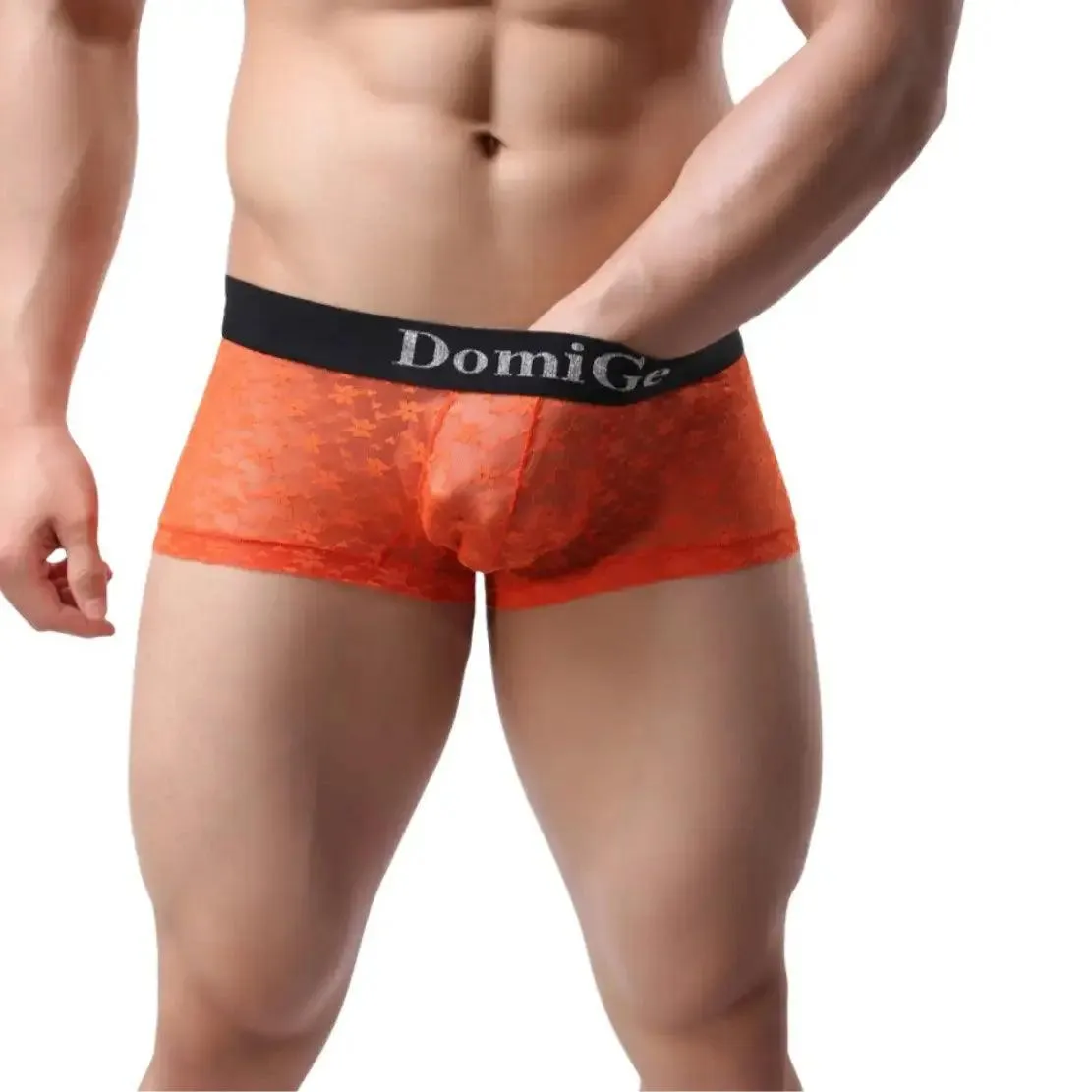 DomiGe Men's Mesh Sheer Boxers Waistband Ultimate Male Underwear