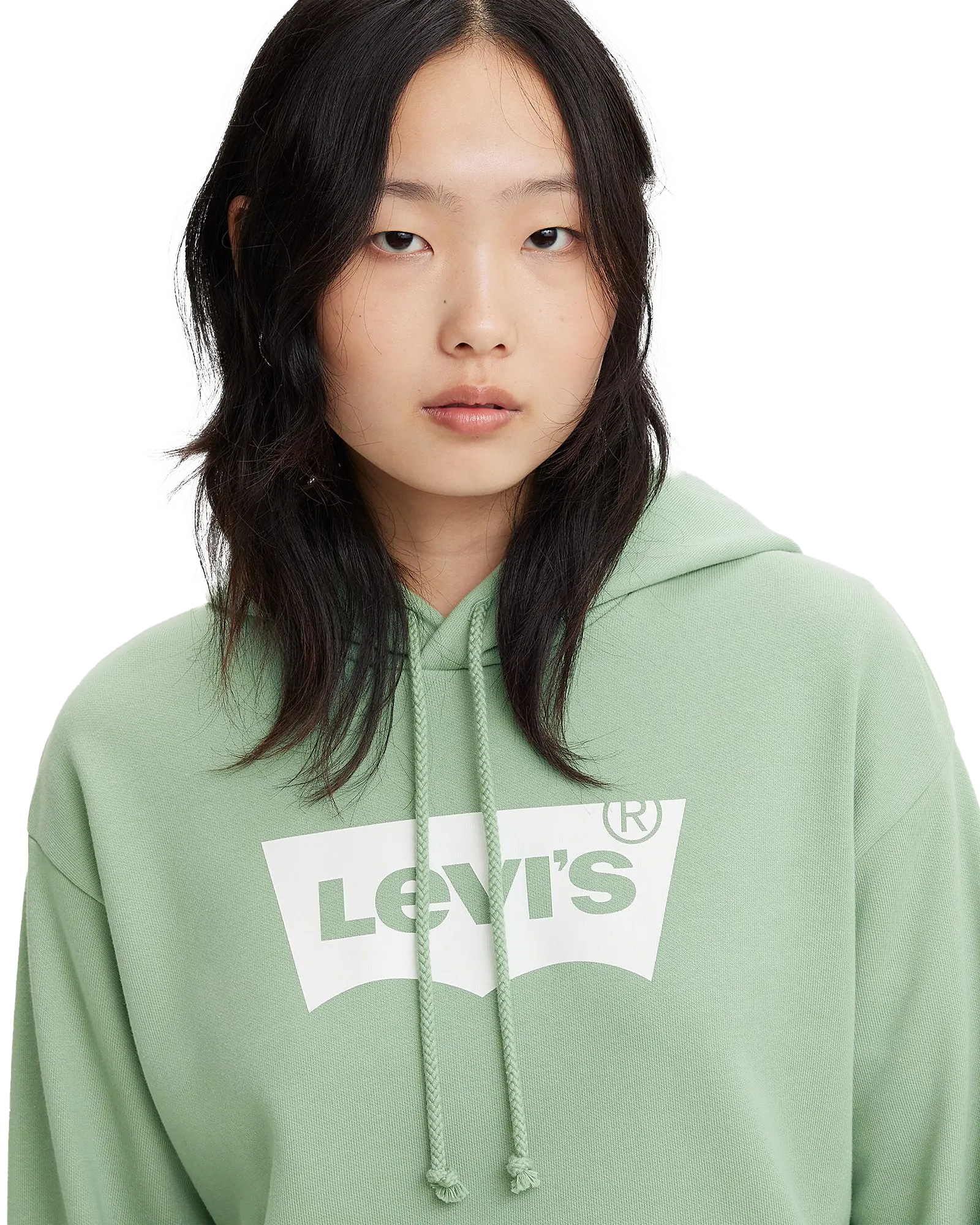 Graphic Standard Hoodie in Granite Green