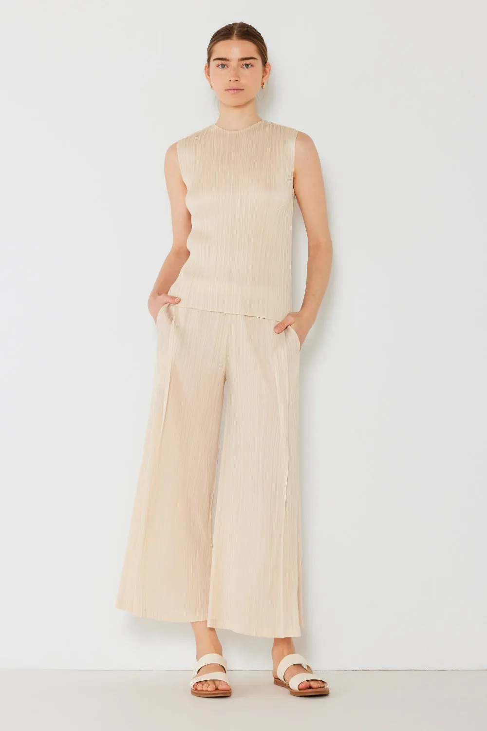 Marina West Swim Pleated Wide-Leg Pants with Side Pleat Detail