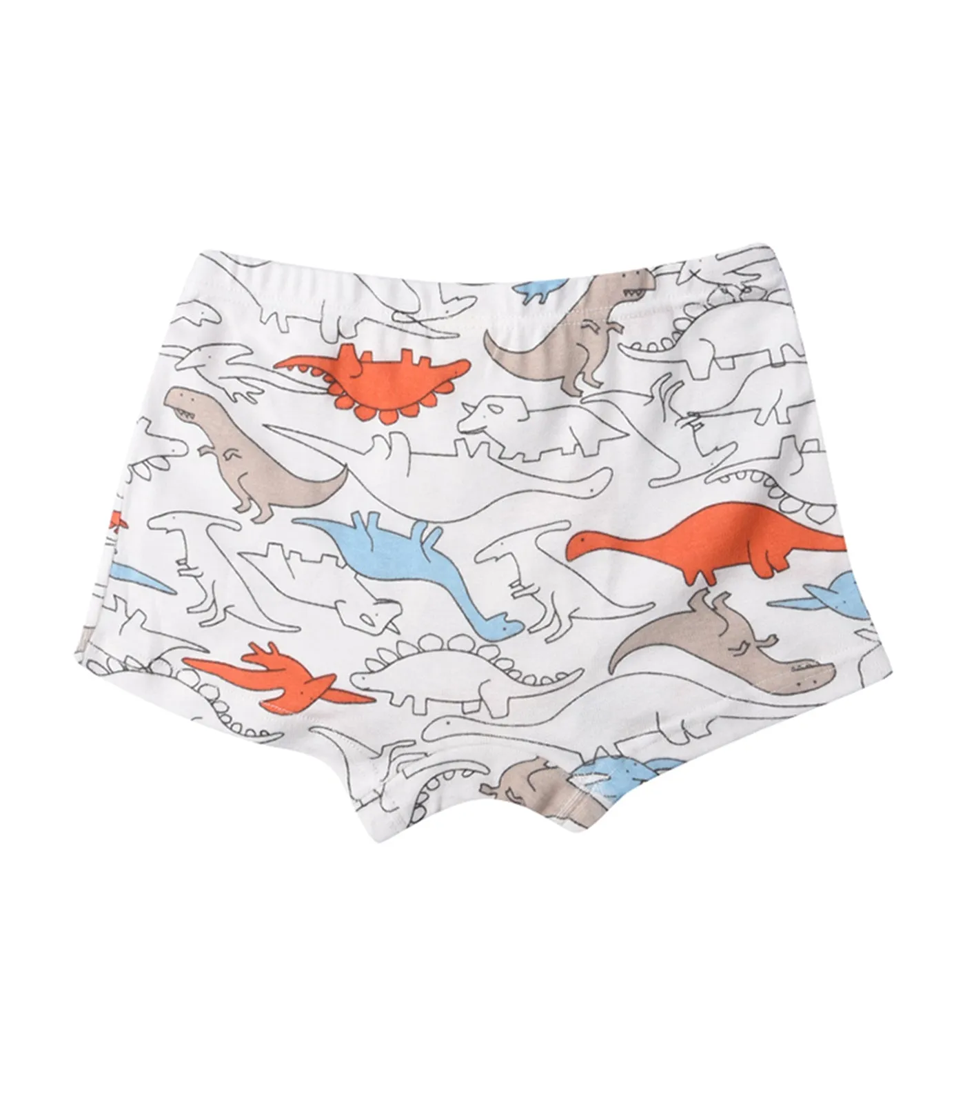 Raga Boxer Briefs - Set of 3