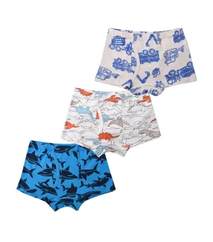 Raga Boxer Briefs - Set of 3